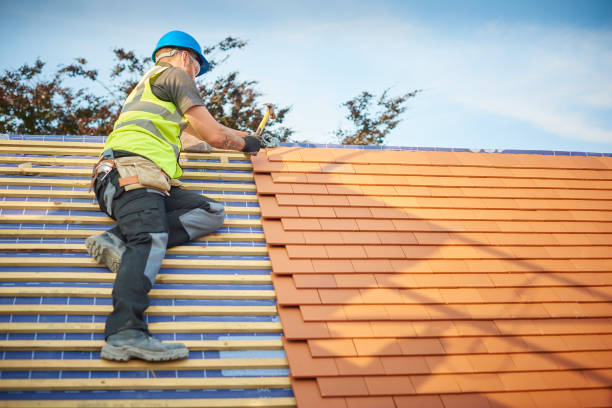Best Skylight Installation and Repair  in Otterbe, IN